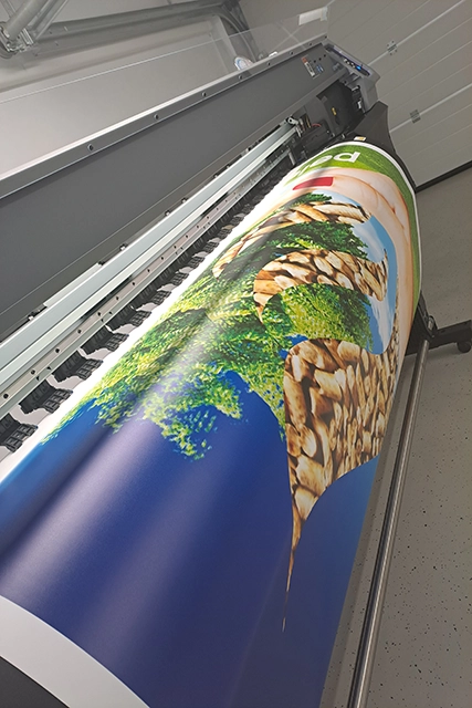Grafika Rajh